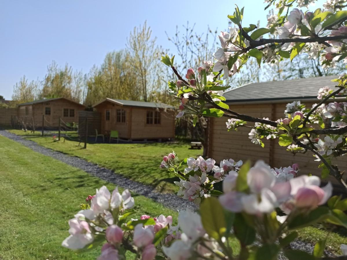 Gite Les Chalets Du Fliers Verton Meubles De Tourisme Classes 2 Etoiles Berck Exterior foto